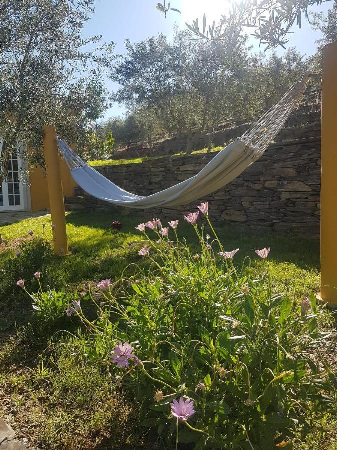 Villa Quinta Vale Da Corga Murça Exterior foto